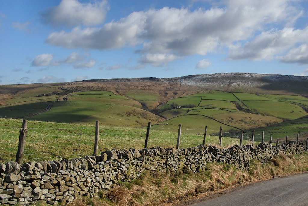 Wall and sheep fence ¬ by David Humphreys