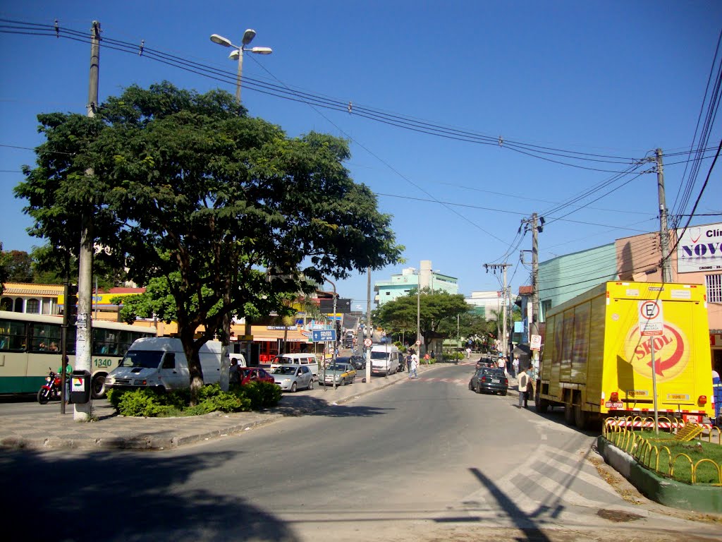 Avenida dos Nogueiras by andarilho