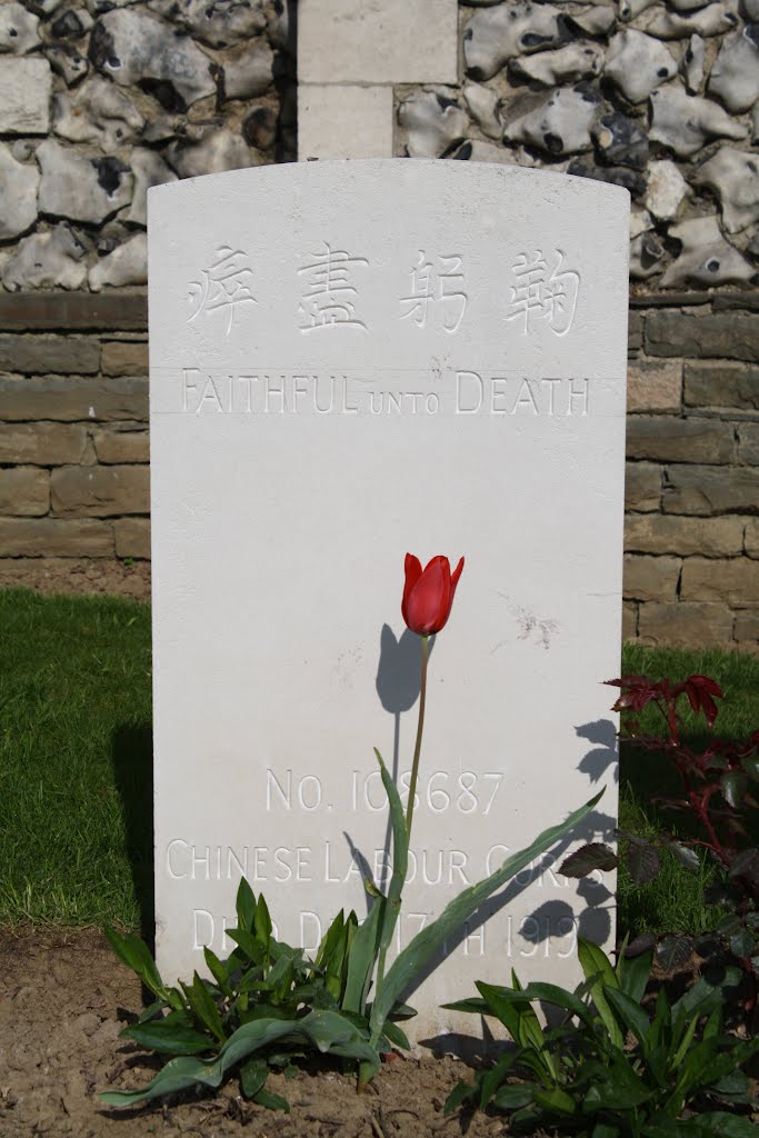 Chinese grave Ayette, Tulip by silverback15