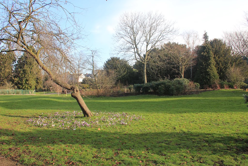 Sandford Park Ornamental Gardens by Terry Jacombs