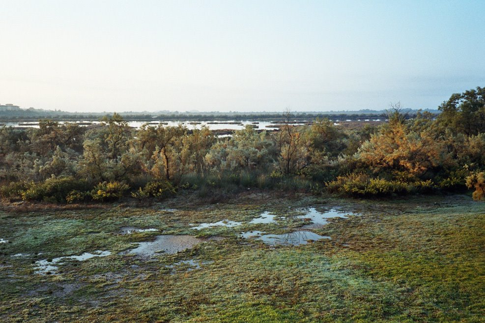 S'Albufera by ARTISTDESIGN