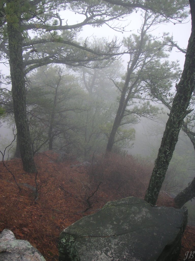 Foggy Pilot Mountain by Jan Brunkhorst