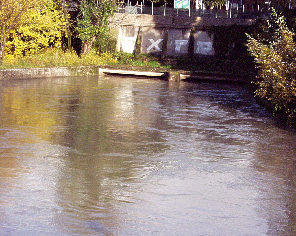 Terni Il Fiume Nera in Piena sotto ponte Garibaldi by Silvano Saveri