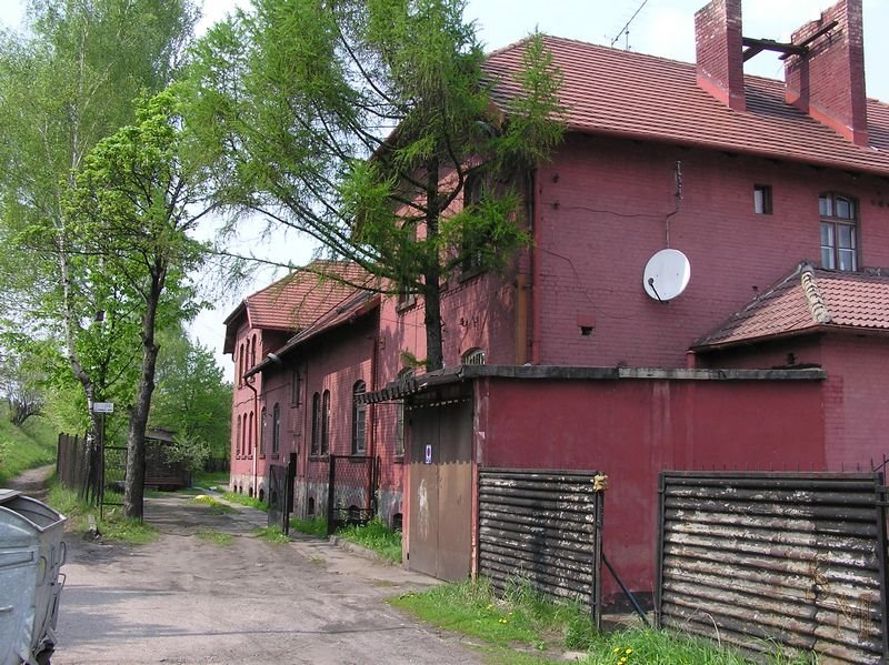 Ruda Śląska-Chebzie, ul. Przedtorze by bird watcher