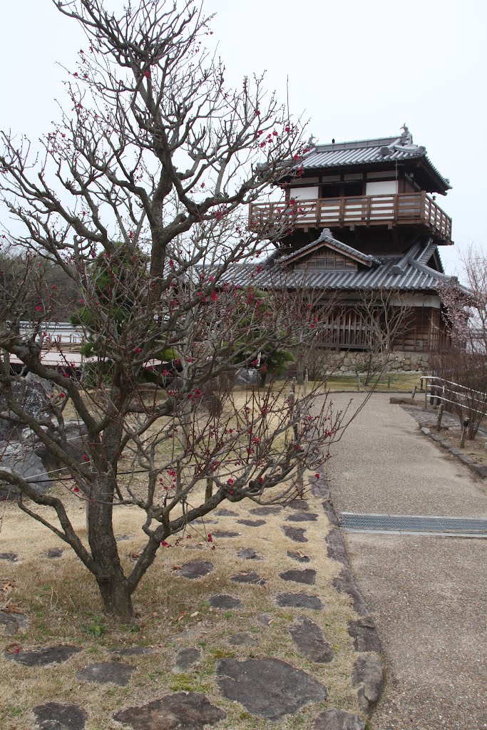 Ikeda-jyo Castle by Yuichi Azuma