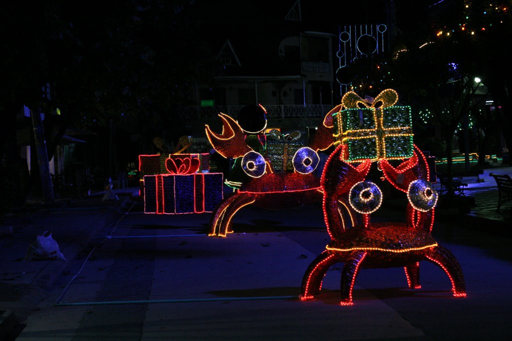 Christmas' Lights- San Andres Island, Colombia by Alvaro Mesa