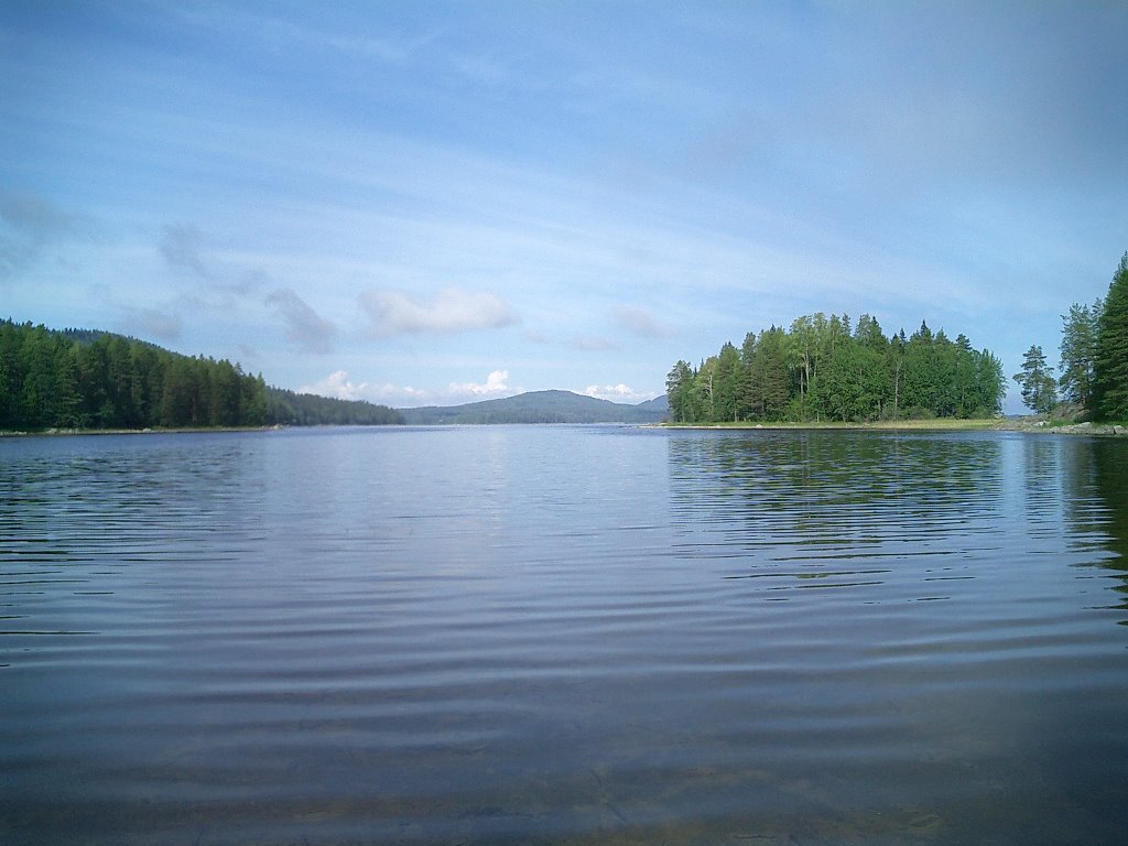 Lake Pielinen at Koli area by Burtsi