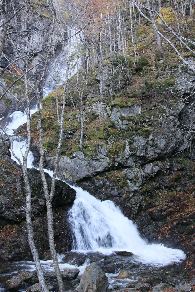 Uisage Ban Falls Provincial Park New Glen, NS The name Uisage Ban comes from the Gaelic meaning “white water”. The park is located near New Glen, Victoria County (Hwy 105, Exit 9) . A four km (2.4 mi.) trail through a climax hardwood forest, provides access to view the 16 m (50 ft.) high waterfall. The walls of the gorge tower 50 m (500 ft.) on either side of the falls. by Ken Heaton