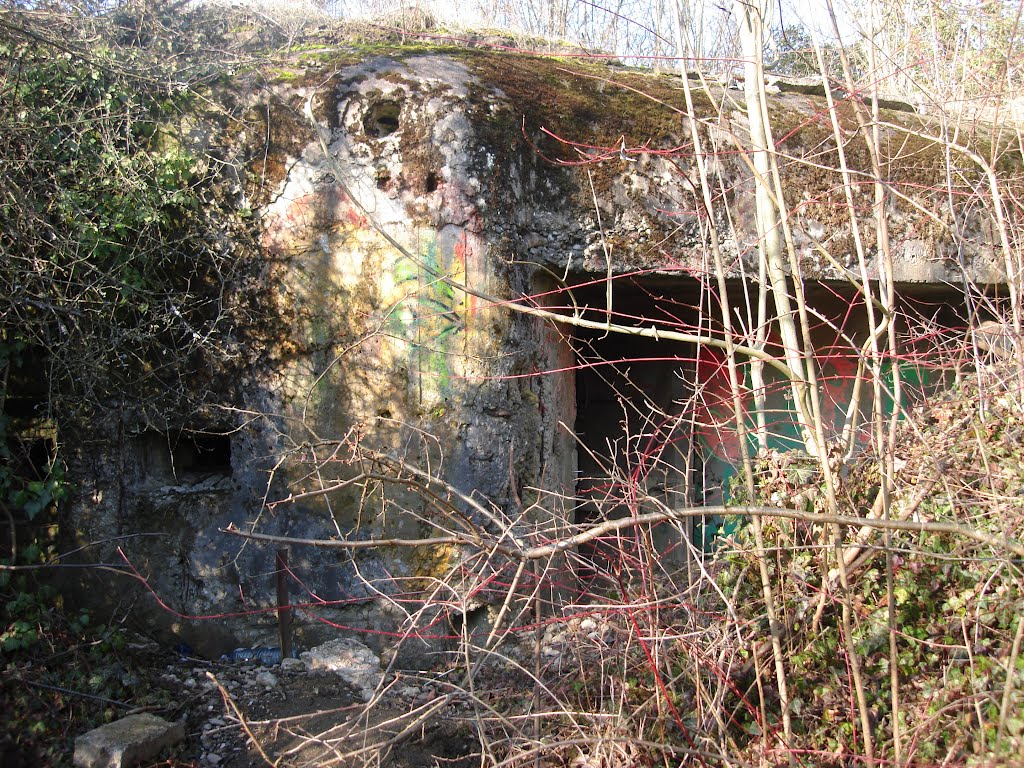 Bunker 1 à Niederroedern by thongor