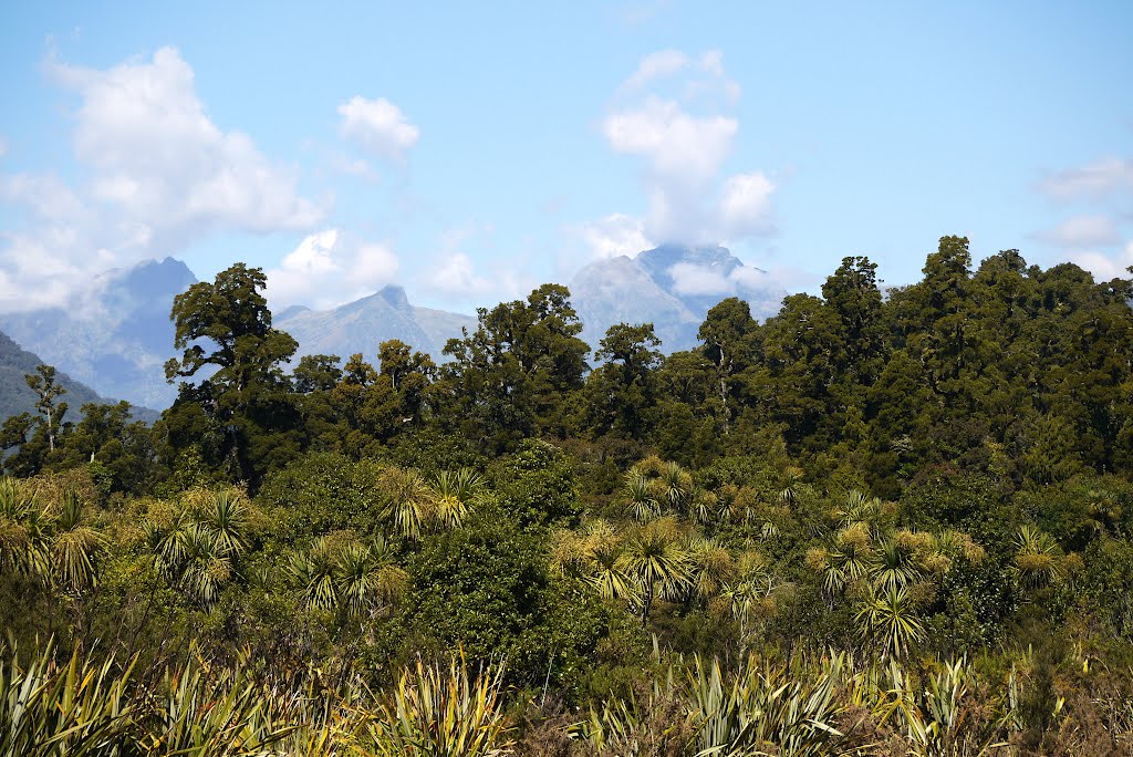 Haast, West Coast by Linbery