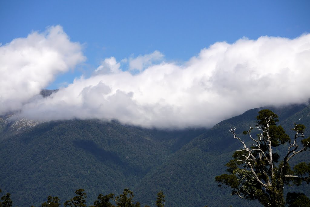 Haast, West Coast by Linbery