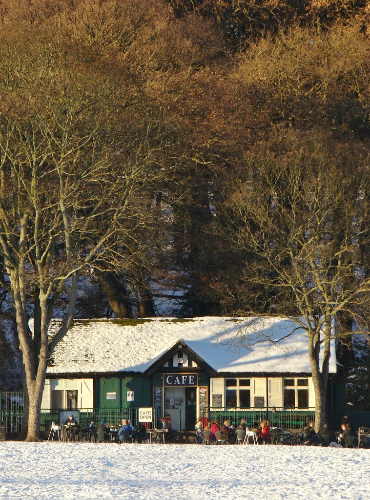 Snowy Endcliffe Park Cafe under the trees, Sheffield S11 by sixxsix