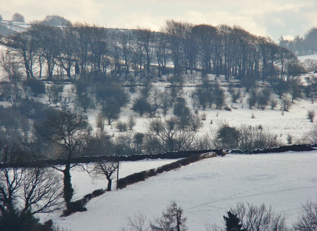 Snowy countryside scene 2, Sheffield S17 by sixxsix