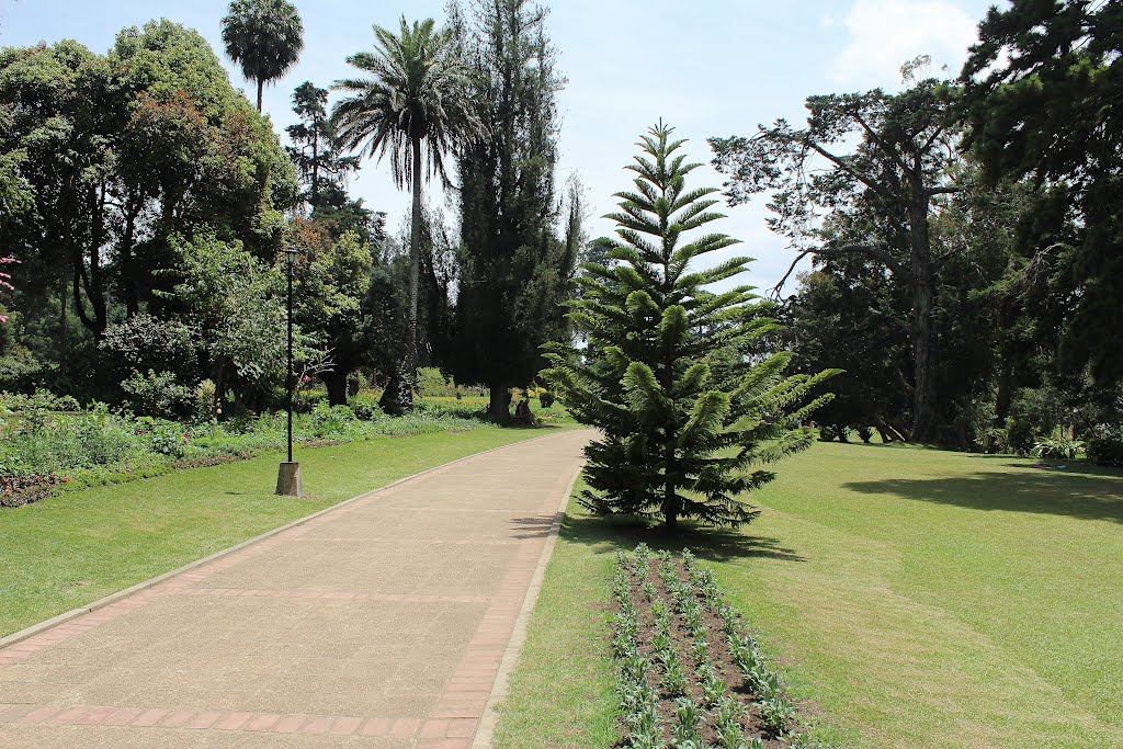 Victoria Park in Nuwara Eliya by Rajitha lakmal