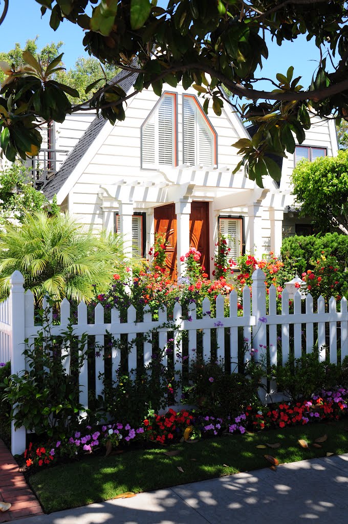 Star Park Circle, Coronado by NadoHeinz