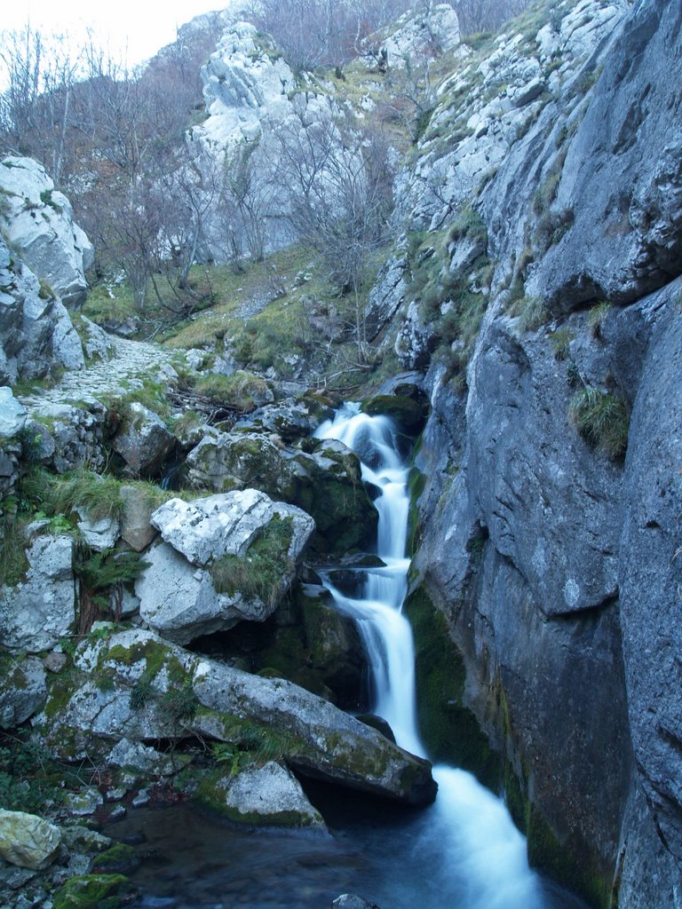 Hoces del Rio Pino, Pino,Aller(Asturias) by Corticata