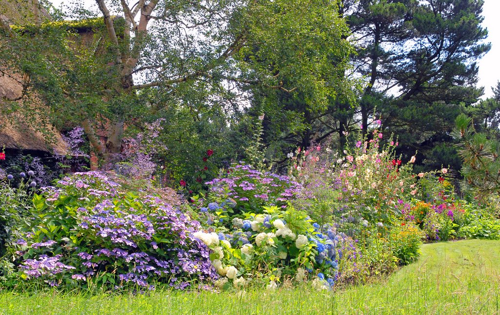 Staudenpracht vor dem Münsterhof im Juli by Juliane Herrmann