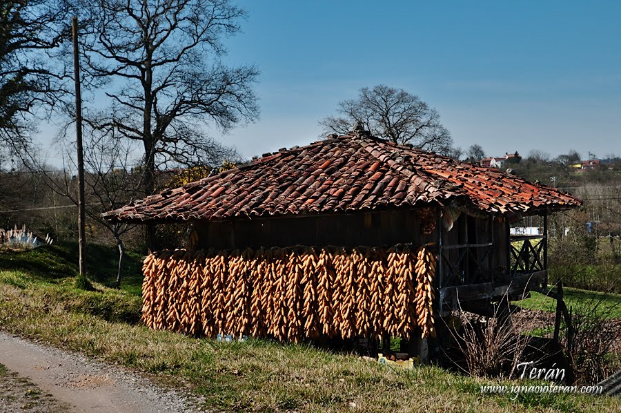 Horreo asturiano by Jose Ignacio Teran