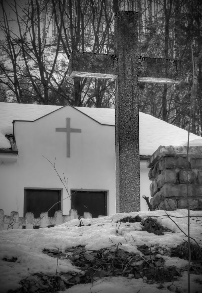 Litice nad Orlicí - hřbitov (zpravidla pro zemřelé ze Záchlumí, Bohousové a Litic nad Orlicí) by Mirka Schärfnerová