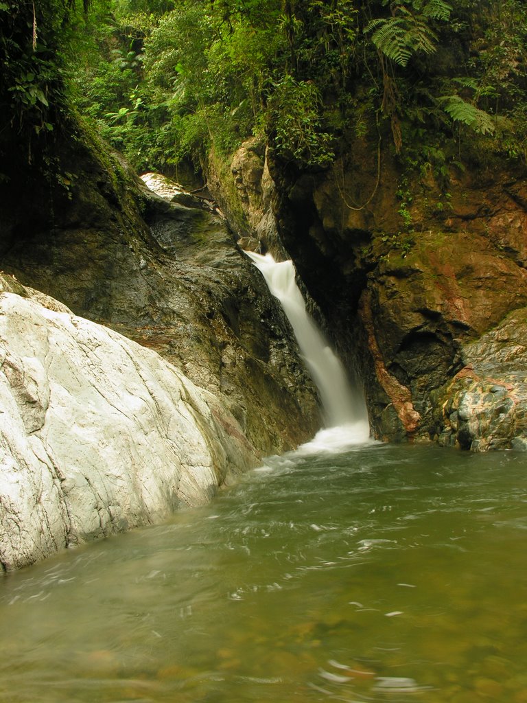 Queda D'agua (Rio Pirabeiraba) by Érico Christmann