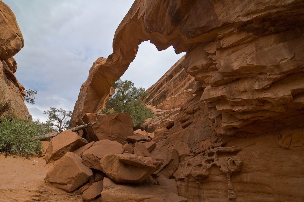 Wall Arch by David Thyberg