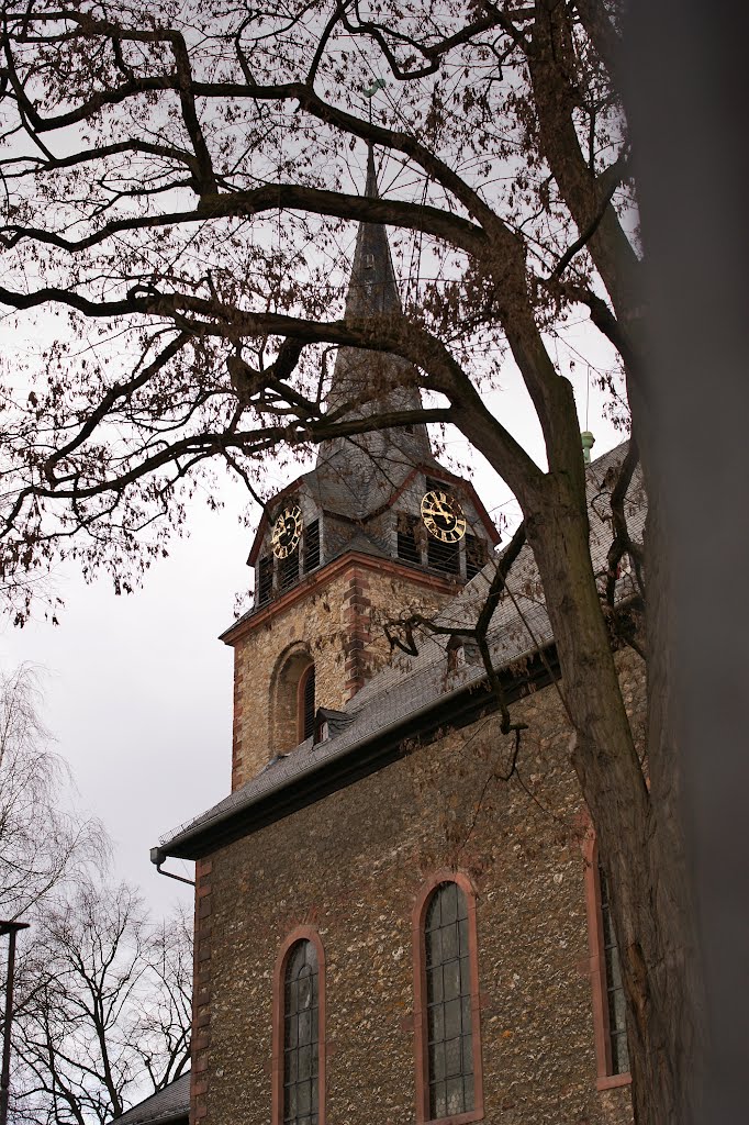 Flörsheim, St. Gallus-Kirche by schnauzerfreund