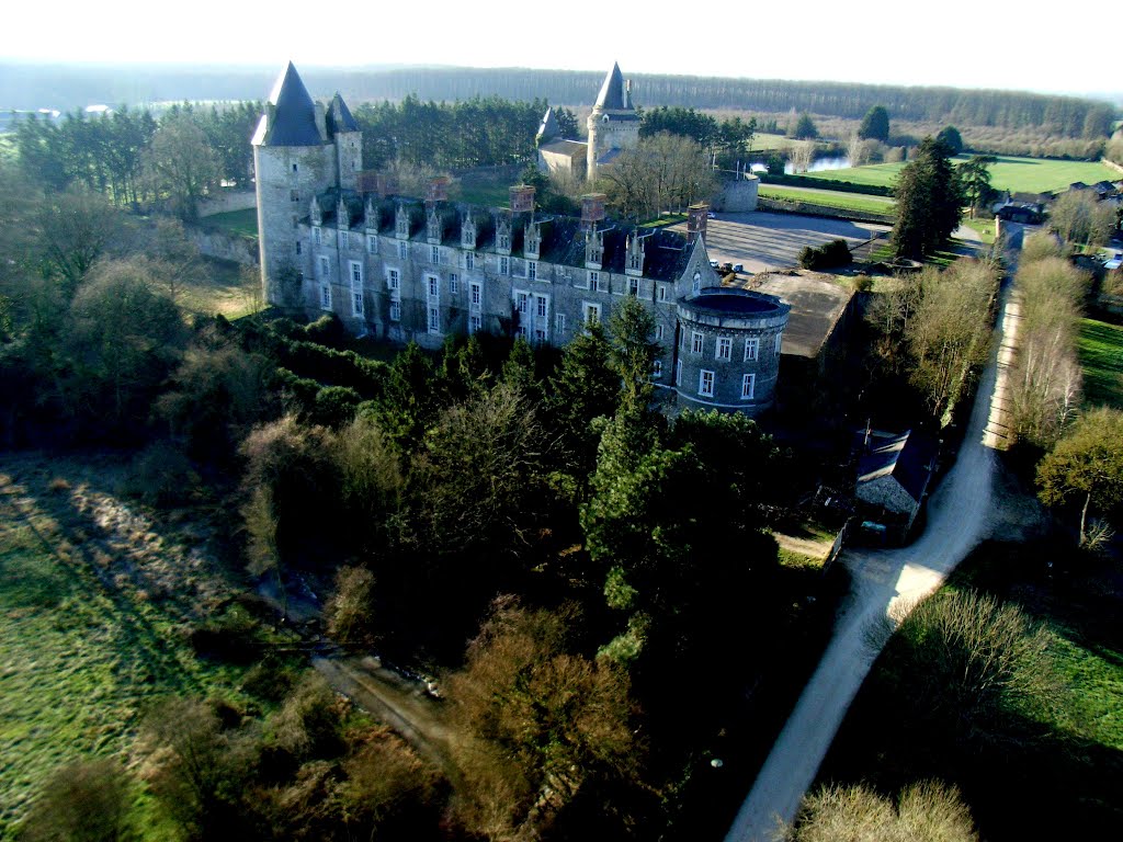 Chateau de La Groulais by Nicoger