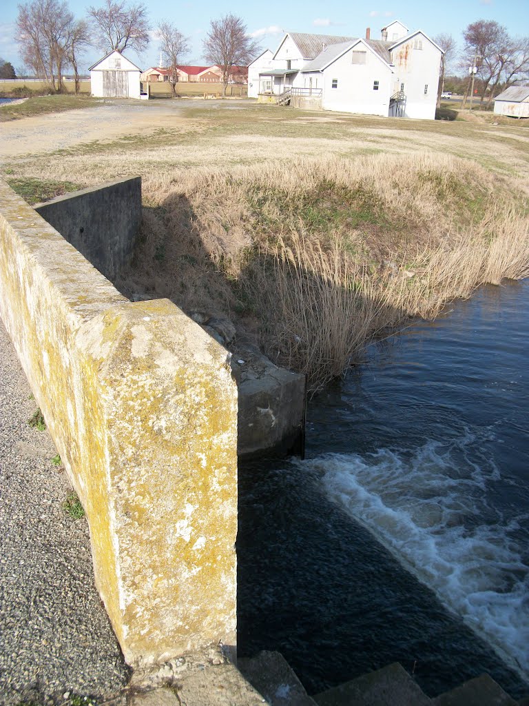 Wyoming Mill, Wyoming, DE by Dave Tabler