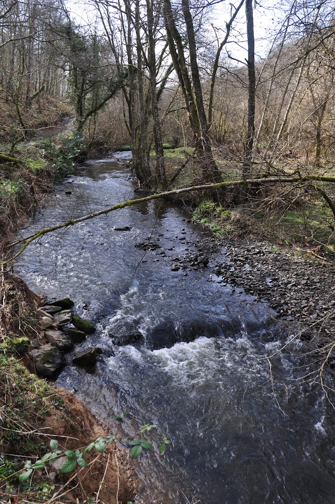 Mid Devon : Iron Mill Stream by A Photographer