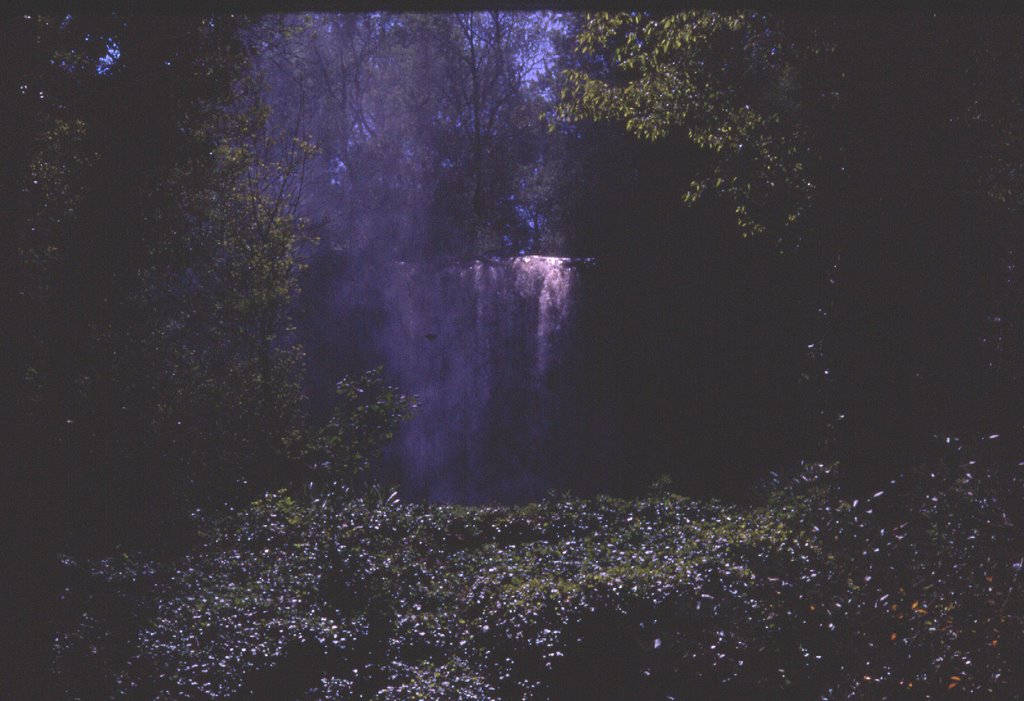 Monasterio de Piedra, 1975 by Luís Boléo