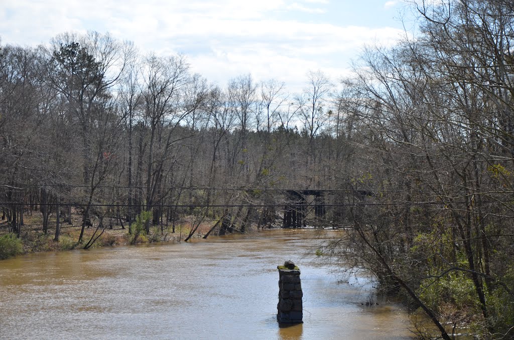 Tallaseehatchee Creek by wmr36104