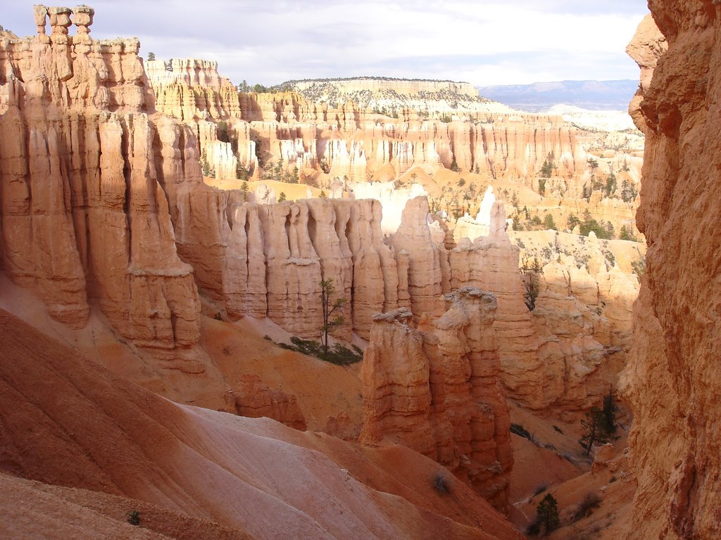 Along Navajo Loop Trail - Bryce Canyon - Utah by davycrkt