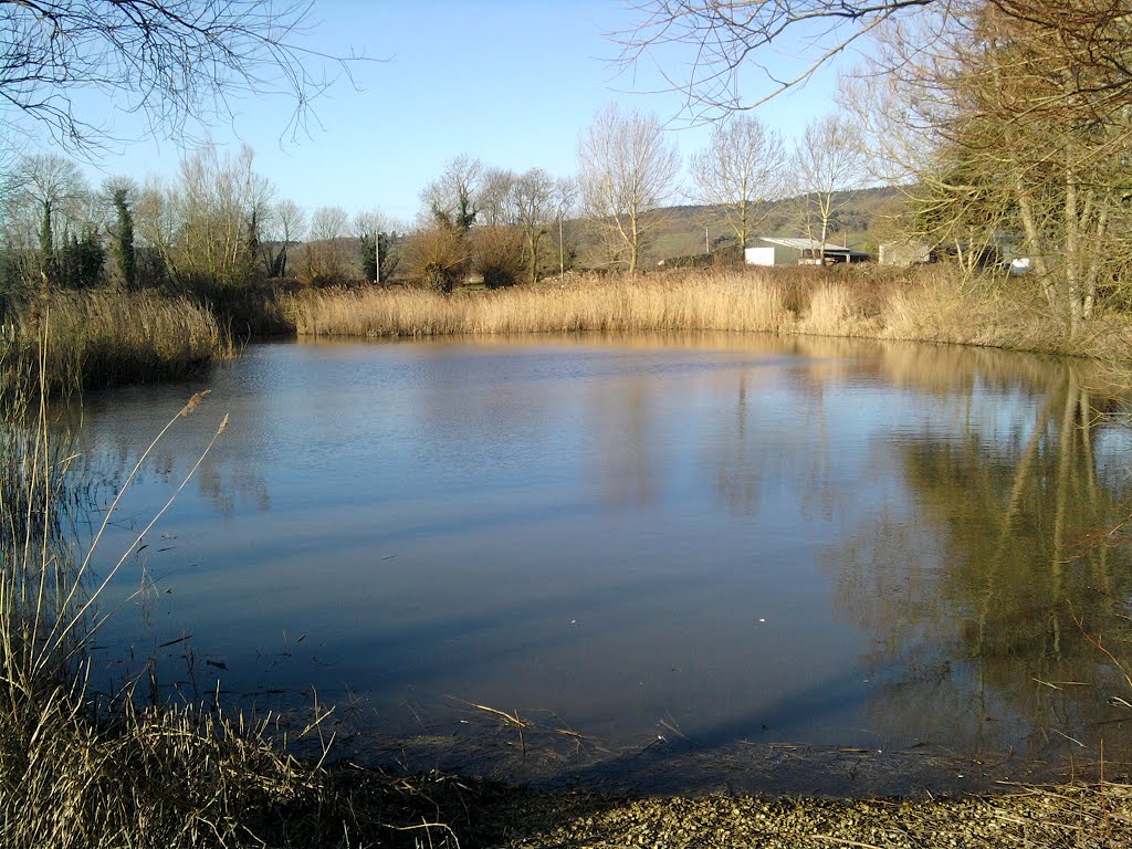 POND AT PASSAGE FARM CL by gary10