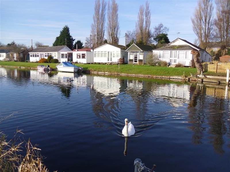 Surfleet Reservoir (Swan Lake!) by Roy H