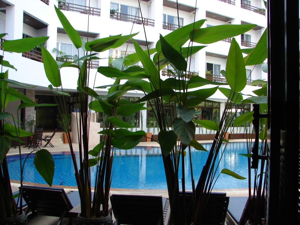 Areca Lodge- veiw of pool from reception by Geoff Youdan