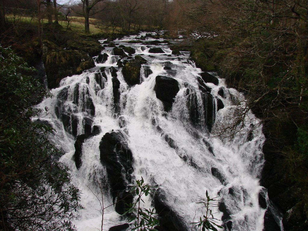 Swallow Falls (outside Betws-y-Coed) by vinnyhassell