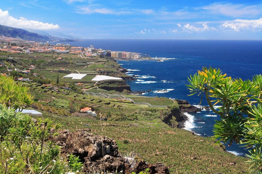 Blick nach Puerto de la Cruz by Herr Sonstiges