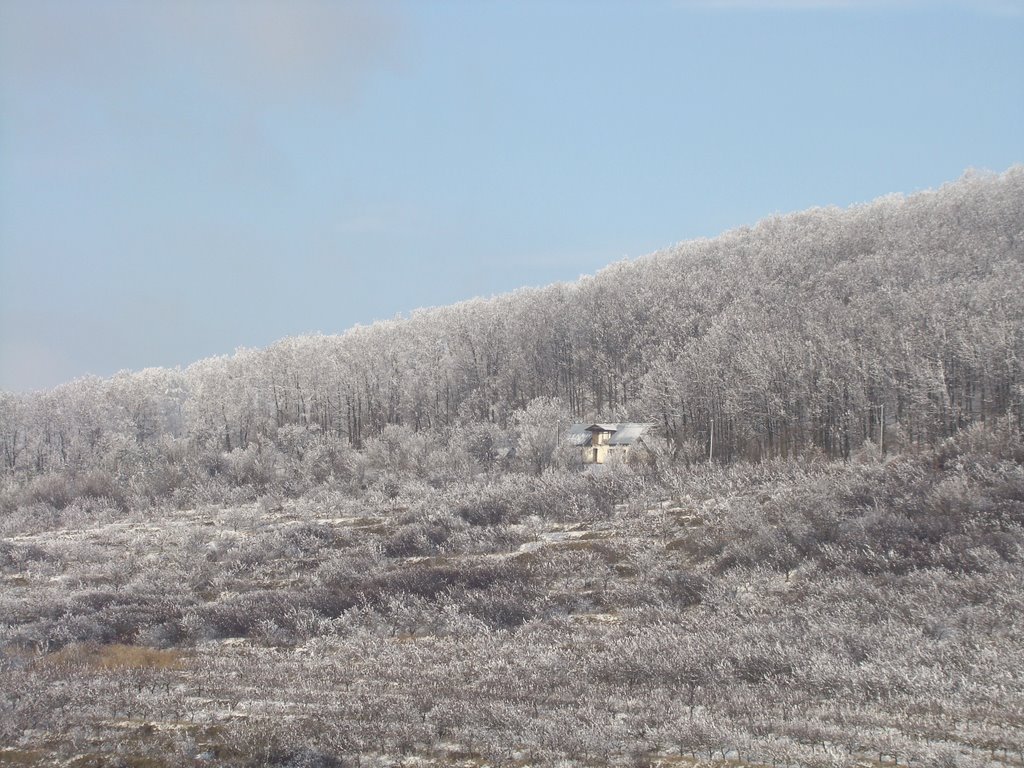 906 05 Sobotište, Slovakia by Adrián Schultz