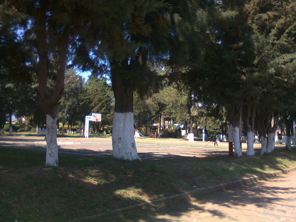 Canchas en la Plaza de la Revolucion by Nenecito