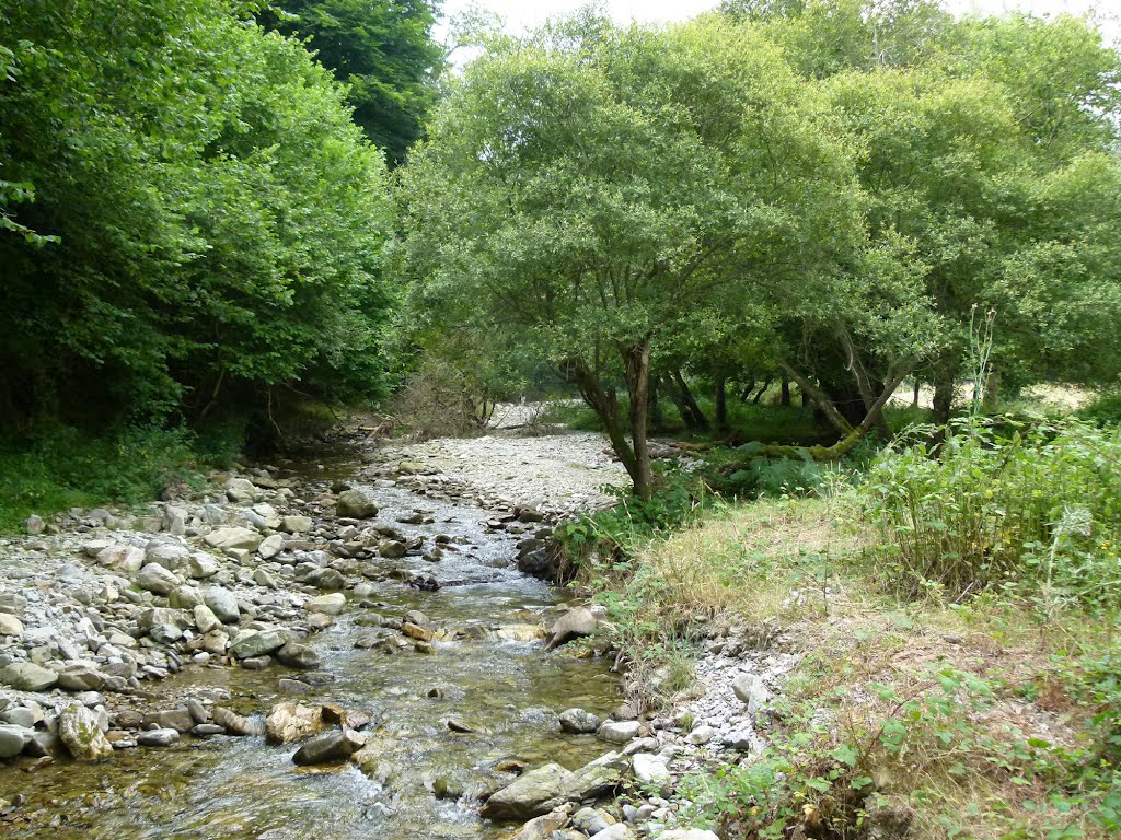 EL RÍO (San Millán de la Cogolla-La Rioja). 2011. 10a. Río Cárdenas. by Carlos Sieiro del Nido