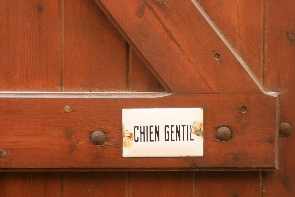 CHIEN GENTIL by masf