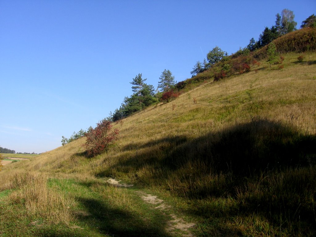 Wrzesień na Łysej Górze ("Łopacie") by w kuszak