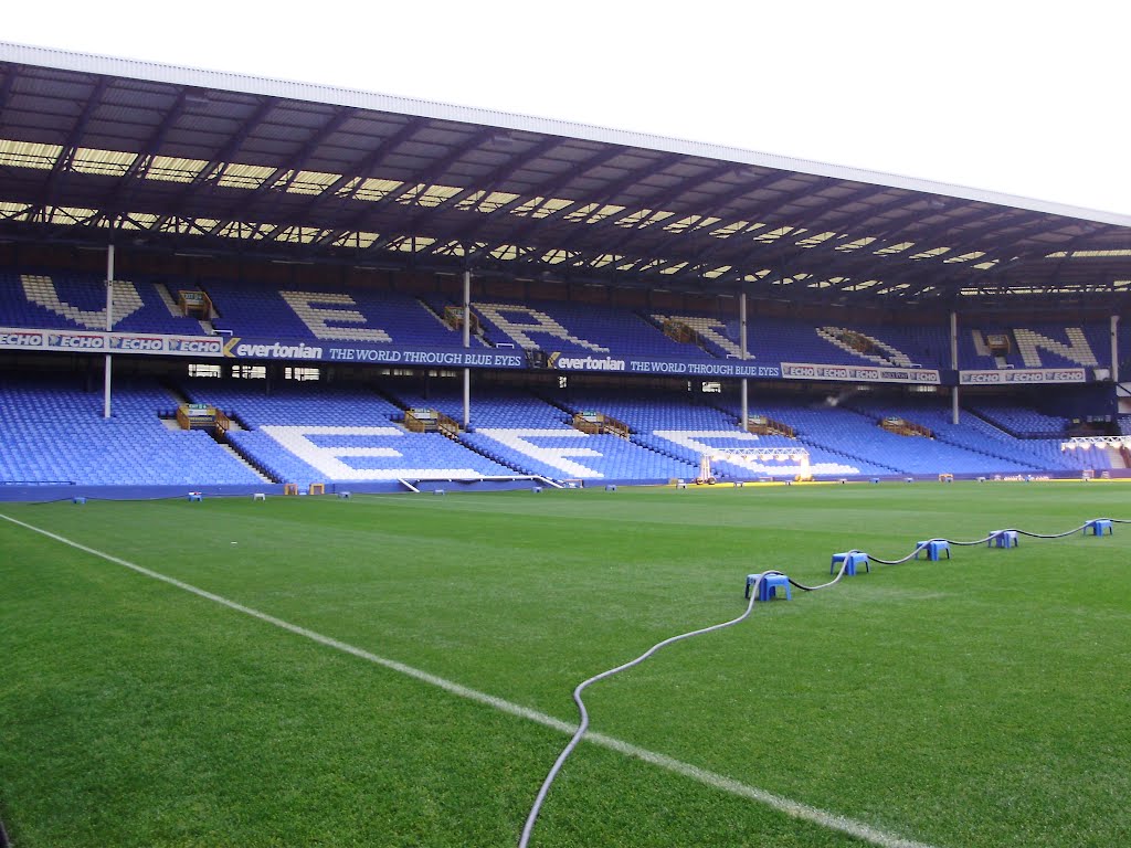 Gwladys Street End, Goodison Park by willem27