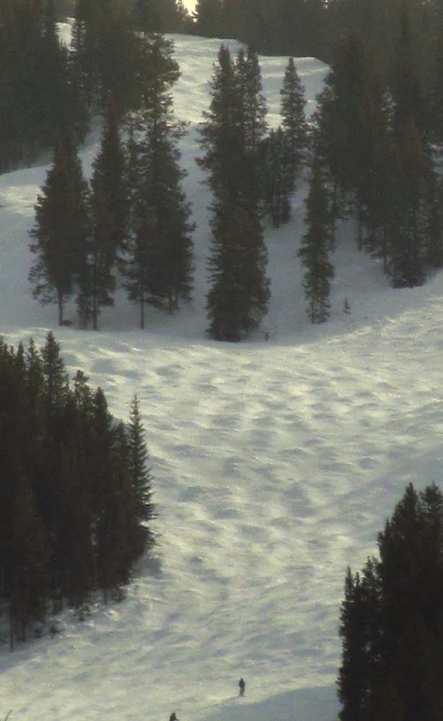 Textured Moguls In Soft Serene Sunlight On The Steep Slopes Of Panorama Ski Area BC Mar '12 by David Cure-Hryciuk