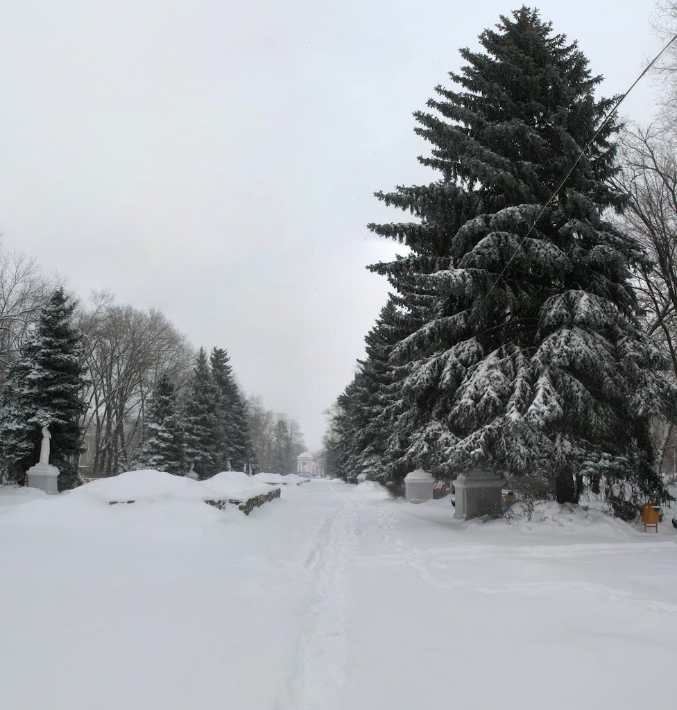 Центральная аллея парка 2012. (Central path) by Uhodigger (Leonid Illarionov)