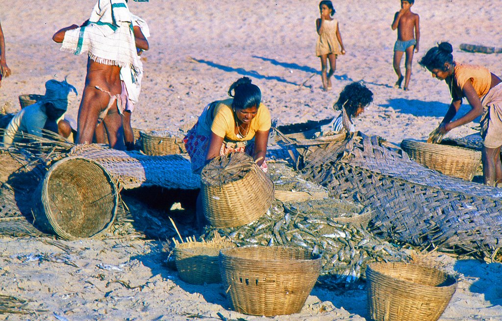 Women taking care of the catch 1975 by johdan