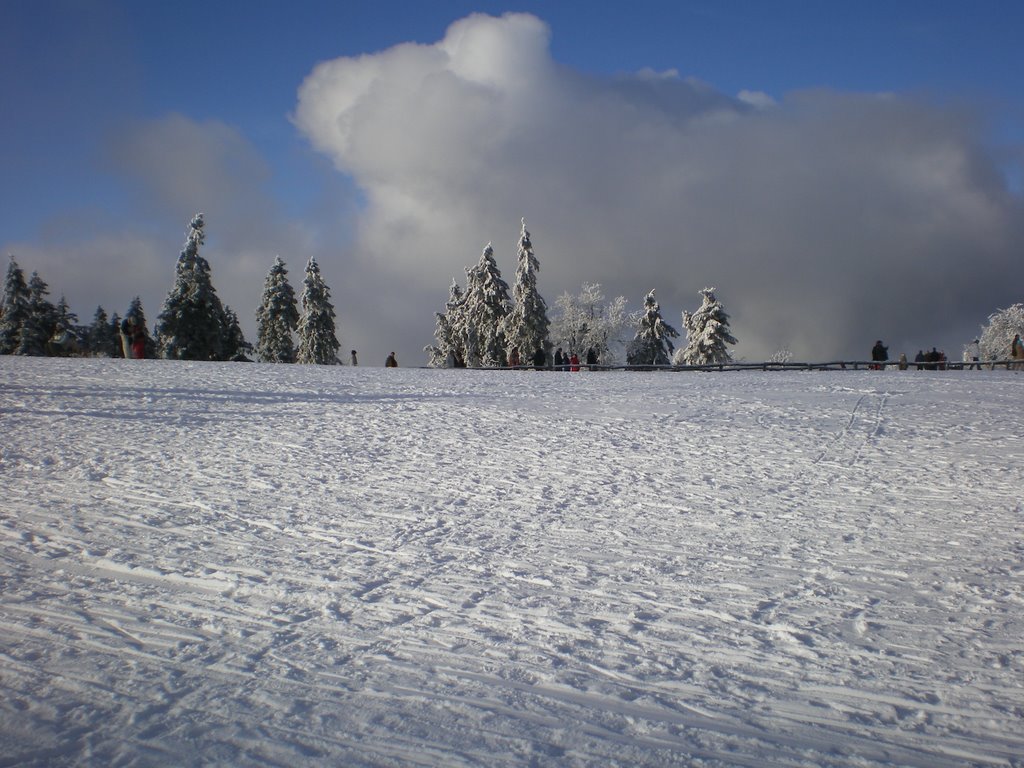 Feldberg by roby1074