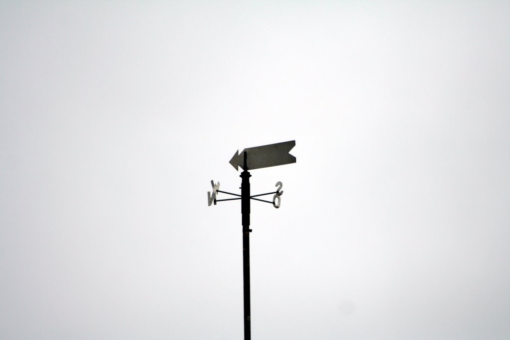 Weather vane Altja Estonia by Matti Tossavainen