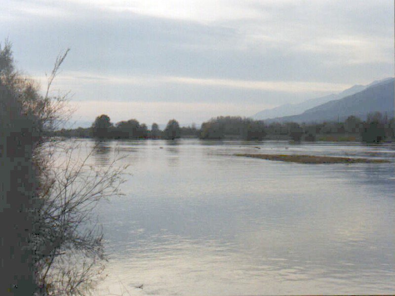 Strymon River, Vyroneia, Greece by Ioannis Grigoriadis