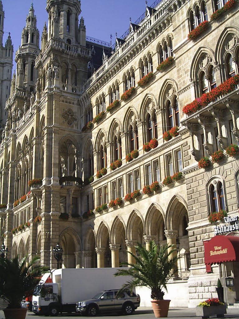 Rathaus, Vienna by Suzen N